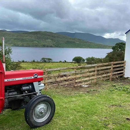 Padraig