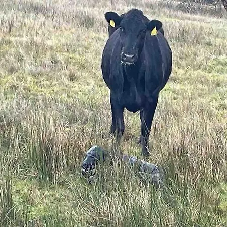 Casa de Férias Padraig *